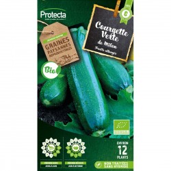 Graines Courgette Verte De...