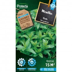 Graines Menthe Verte...