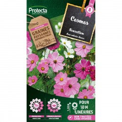 Graines Cosmos Sensation...
