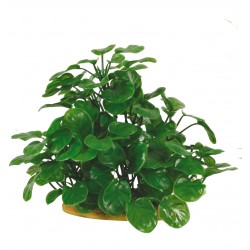 PLANTES ARTIFICIELLES B...