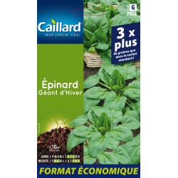 Graines Epinard Geant...