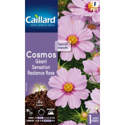 Graines Cosmos Geant...