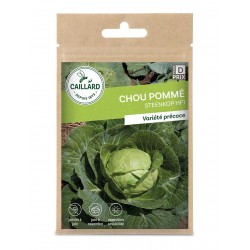 Graines Chou Pomme Steenkop...