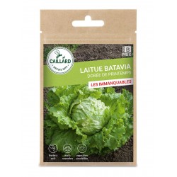 Graines Laitue Batavia...