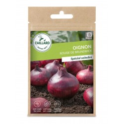 Graines Oignon Rouge De...