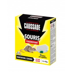 CAUSSADE Souris FOUDROYANT...