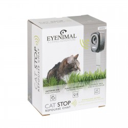 EYENIMAL ÉDUCATION CAT STOP...