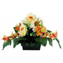 jardi rose/lys...