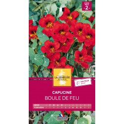 Graines Capucine Boule De...