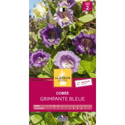 Graines Cobee Grimpante...