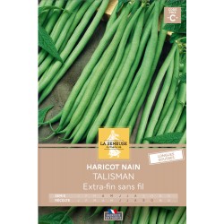 Graines Haricot Nain Efsf...