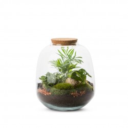 TERRARIUM autonome Moly...