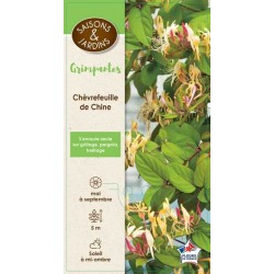 LONICERA japonica...