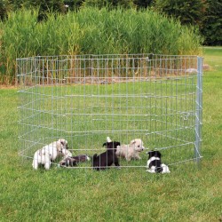 Enclos Natura pour chiots...