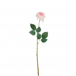 Tige De Rose Diamant Rose...