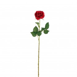 Tige De Rose Diamant Rouge...