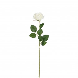 Tige De Rose Diamant Blanc...