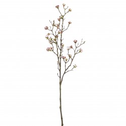 Tige De Baies Rose En...
