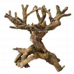 DECOR BONSAI brun AQUA DELLA