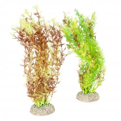 PLANTE EGERIA DENSA M H25...