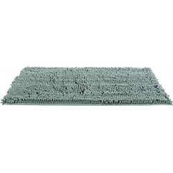 Tapis absorbant...
