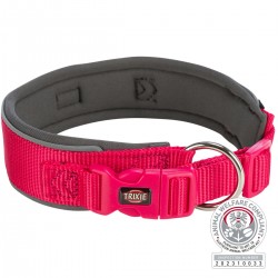 Collier Premium XL L...