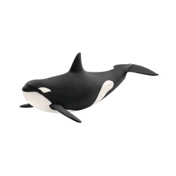 Orque Wild Life H6.7 -SCHLEICH