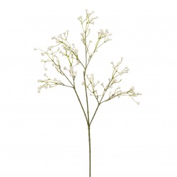 Tige De Gypsopile  Crème En...