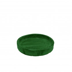 Soucoupe Vernie Vert...