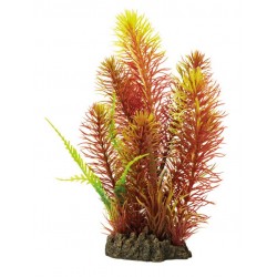 SUPERFISH ART PLANTS...