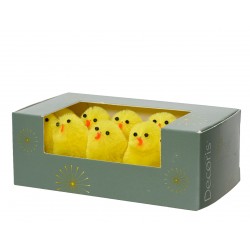 Boite De 10 Poussins...