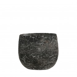 Cache-Pot Thomas Rond...