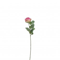 Tige De Rose Rose Foncé En...