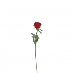 Tige De Rose  Rouge En...