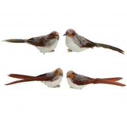 Oiseau Sur Clip Brun 16Cm...