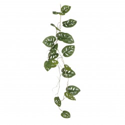 Chute De Monstera Vert En...