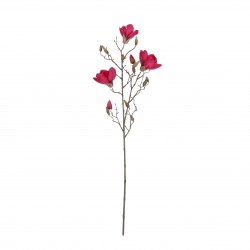 Tige De Magnolia Rose Foncé...