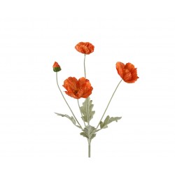 Tige De Coquelicot Orange...
