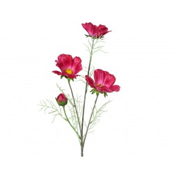 Tige De Coreopsis Fuchsia...