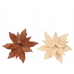 Poinsettia Sur Clip Brun...