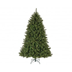 Sapin Givré Malmo...