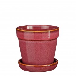 Pot + Soucoupe Clint Rose...