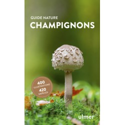 Livre - Champignons -ULMER