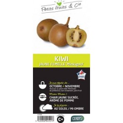 KIWI femelle 'Minkigold'...