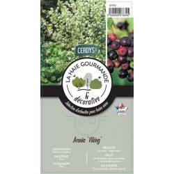 ARONIA prunifolia 'Viking' C3L