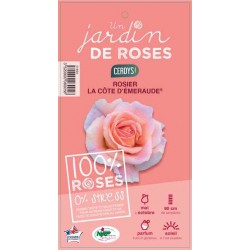 ROSIER GF La Cote...