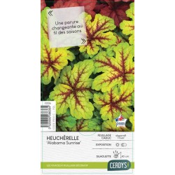 HEUCHERA 'Electra' C2L-RC