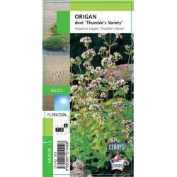 ORIGAN dore G8
