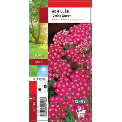 ACHILLEA millefolium...