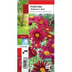 PYRETHRUM coccineum...
